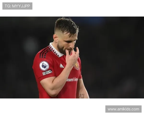 曼联瞄准左后卫布朗霍尔 曼联瞄准左后卫布朗霍尔