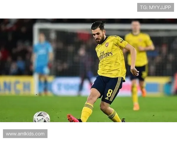 楚阿梅尼伤缺塞瓦略斯落选名单